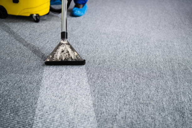 istock Professional Carpet Cleaning Service. Vacuum Cleaner 1291113958