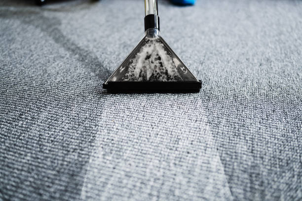 istock Professional Carpet Cleaning Service. Vacuum Cleaner 1291113991