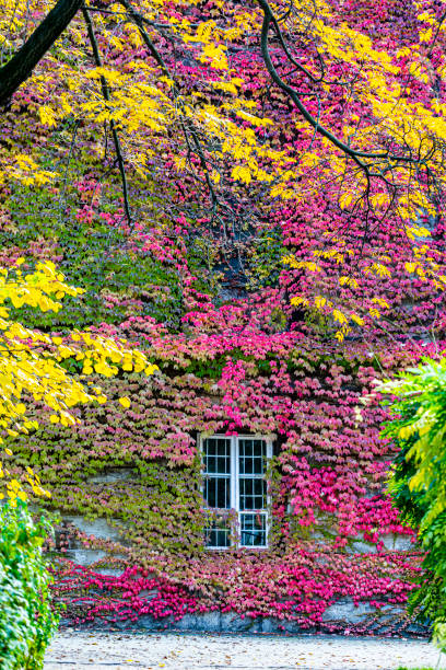 casa de campo en el entorno de otoño. - haunted house house spooky real estate fotografías e imágenes de stock