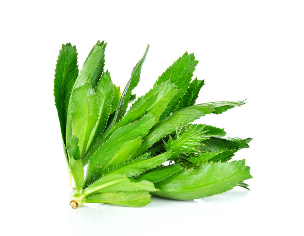 istock Culantro , Parsley and Spring onion isolated on white background 1291118306
