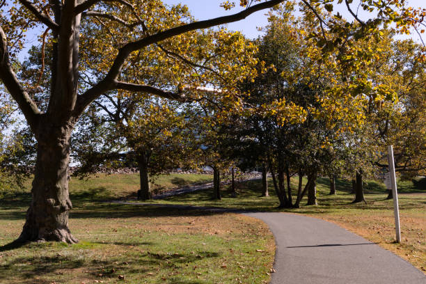 istock Empty Path at Cummings Park in Stamford Connecticut during Autumn with Colorful Trees 1291124671