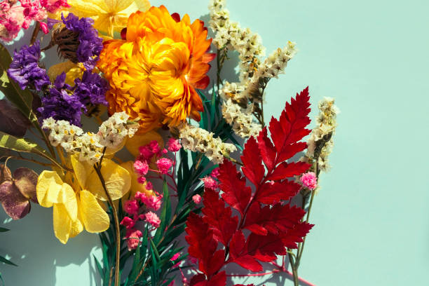 istock Autumn composition with dried flowers on a light blue background. Autumn, fall, thanksgiving day concept. Top view image 1291126366