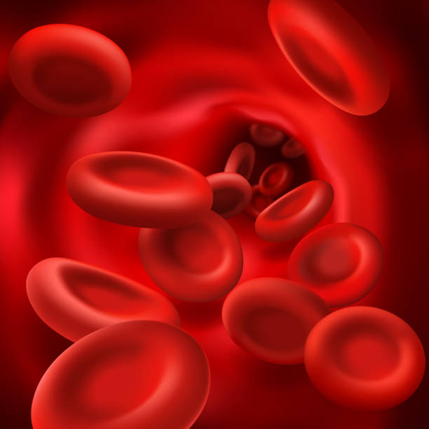 Red cells in blood vessel, 3d vector hemoglobin Red cells in blood vessel, 3d vector hemoglobin, hematology medicine, human body anatomy. Realistic microscopic blood cells flow in vein or artery of cardiac system. Bloodstream close up view human blood stock illustrations