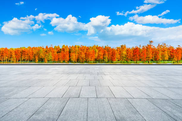 istock Empty floor and colorful forest natural landscape in autumn. 1291129957