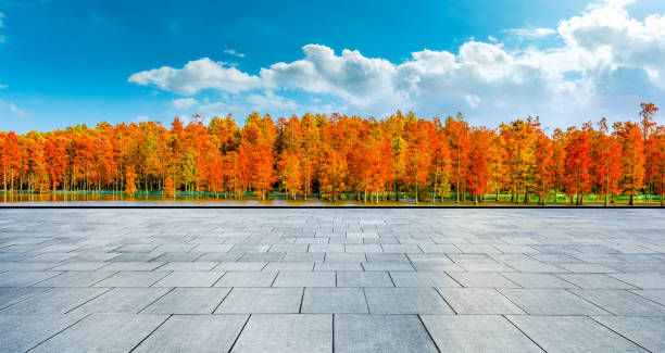 istock Empty floor and colorful forest natural landscape in autumn. 1291129993
