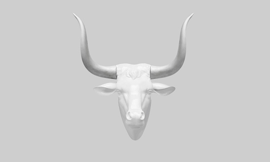 White bull head as a symbol of the new 2021.