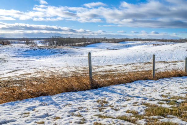 istock Alberta rural landscape in winter season 1291136751