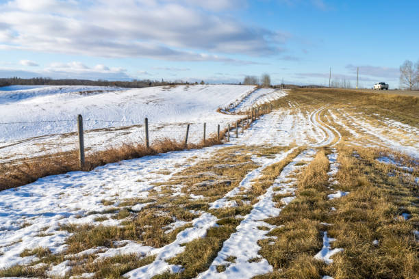 Snow Landscapes