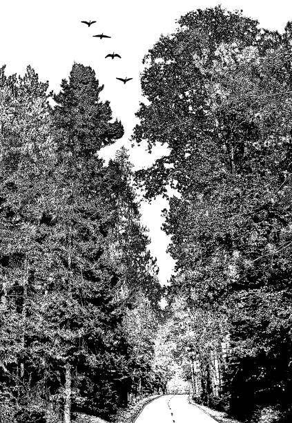 istock Country road and forest 1291138650
