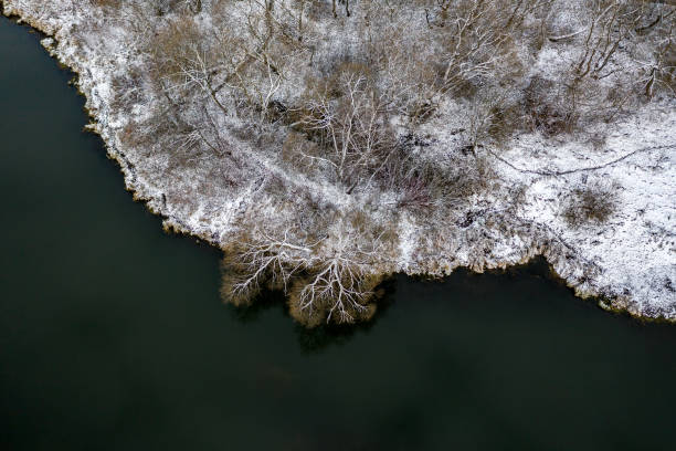 istock river at winter time with dark water. bare beech trees on riverbank covered with snow. aerial top view from flying drone 1291138896