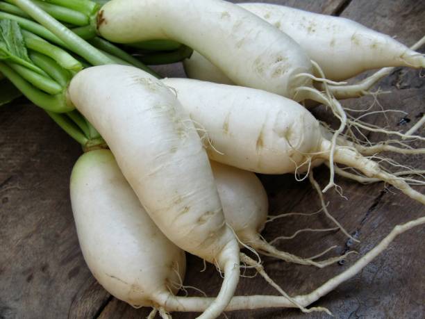 istock Fresh Daikon radishes on a old wooden background 1291139011