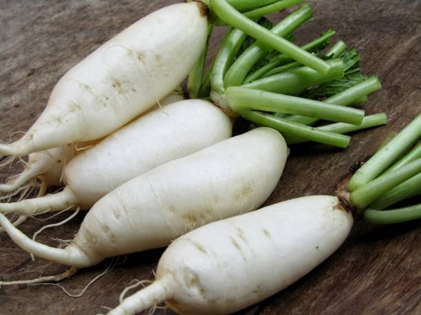 istock Fresh Daikon radishes on a old wooden background 1291139864