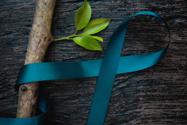 Top view of teal ribbon on dark background with growing plant. Cervical and ovarian cancer, sexual assault, pcos, ptsd, anxiety disorder, agoraphobia and scleroderma awareness concept. Top view of teal ribbon on dark background with growing plant. Cervical and ovarian cancer, sexual assault, pcos, ptsd, anxiety disorder, agoraphobia and scleroderma awareness concept. polycystic ovary syndrome photos stock pictures, royalty-free photos & images