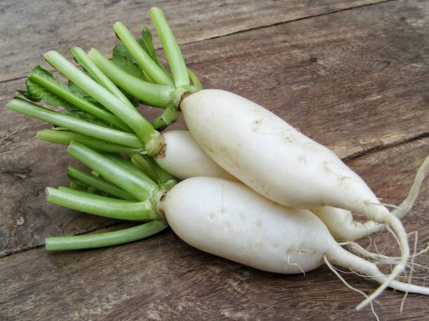istock Fresh Daikon radishes stock photo 1291145030