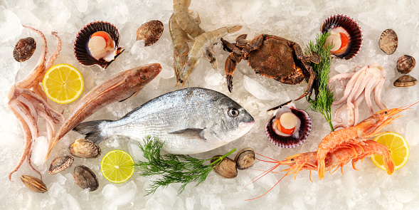 Fish and seafood panorama, shot from the top on ice on a white background