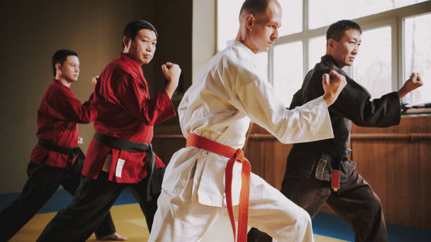 istock Martial arts fighters in different colors keikogi doing fight stances. 1291154285
