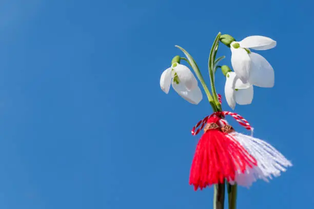Snowdrops and martenitsa and blue sky background. March 1 tradition white and red cord martisor. Cheerful concept of the beginning of spring. Bulgarian holiday of Baba Marta. Copy space.