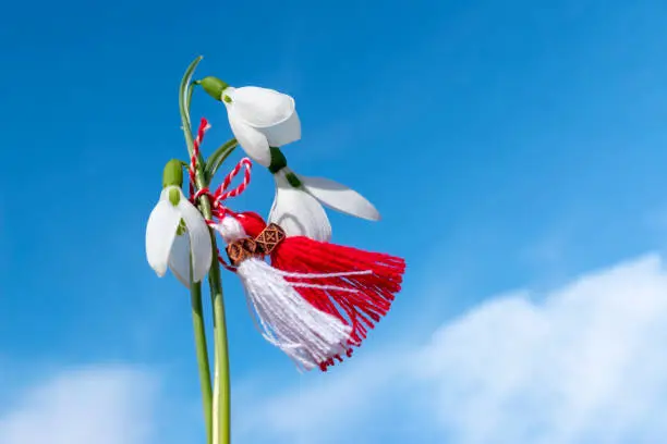 Snowdrops and martenitsa against the blue sky. Martisor flutters in the wind. March 1st - traditional trinkets. Baba Marta Day - Bulgarian holiday. Beginning of Spring Concept. Copy space.