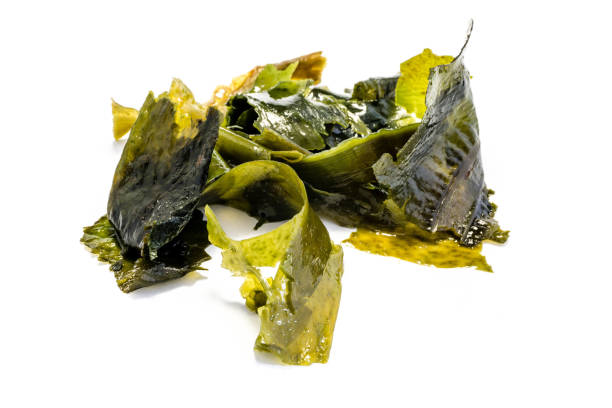 istock Wakame alga isolated on white background 1291161406
