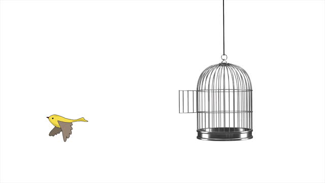 hand drawn animation - little bird flying out of a birdcage