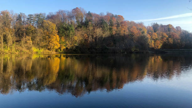 istock Shadow arrow on autumn lake points the way 1291165891