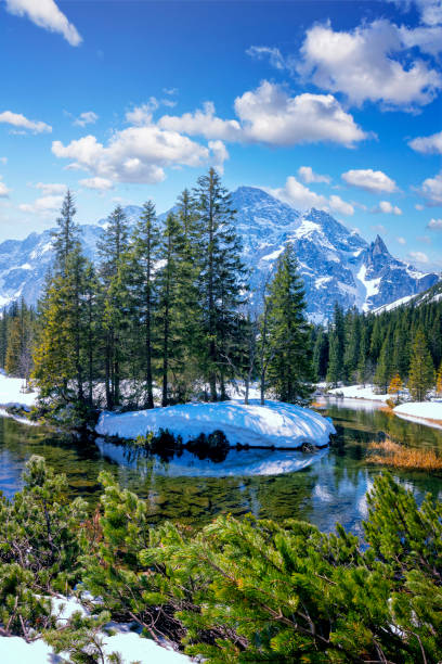 폴란드 의 휴가 - 타트라 산맥의 리비 포톡 밸리의 겨울 전망 - tatra mountains zakopane lake mountain 뉴스 사진 이미지