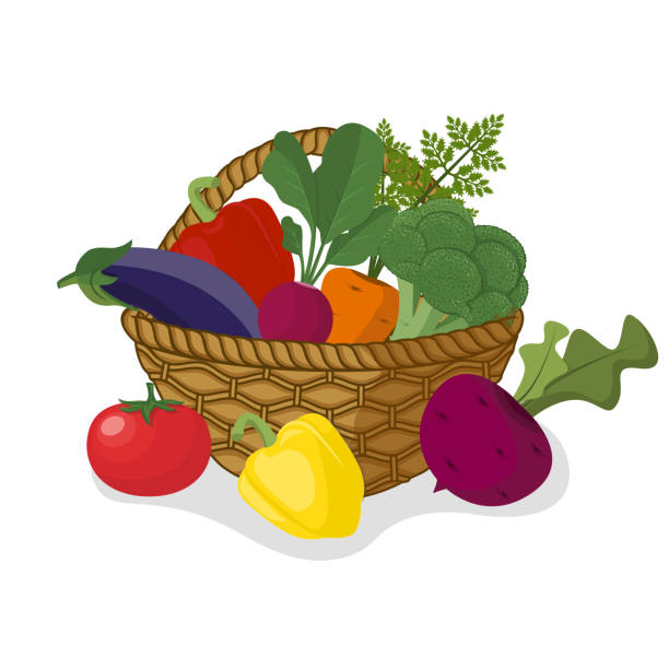 Basket with vegetables. Harvest vegetables organic healthy food Basket with vegetables. Harvest vegetables organic healthy food. Vegetables and greens, salad peppers and tomatoes, carrots and cabbage, eggplant and beetroot. Vector illustration flat design. fruit clipart stock illustrations