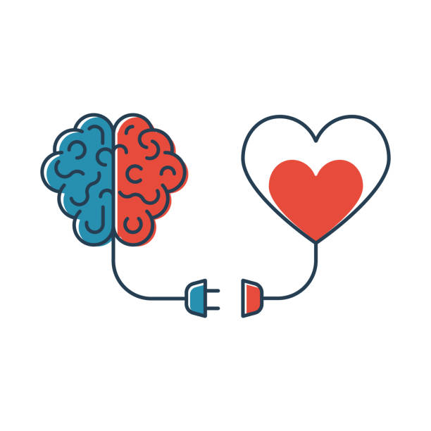 illustrazioni stock, clip art, cartoni animati e icone di tendenza di cervello e cuore sono collegati. cuore e cervello lavorano insieme - cervello umano