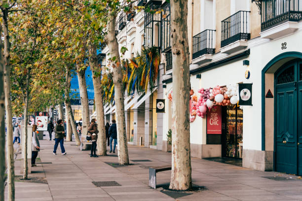 3,400+ Madrid Shopping Stock Photos, Pictures & Royalty-Free Images - iStock | Madrid nightlife, Tapas, Madrid grand via