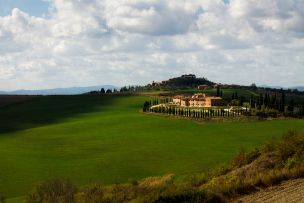 istock rural scenary in tuscany with cypress tree 1291169978