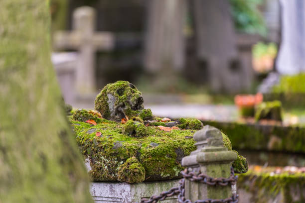 istock On a Tombstone there's a skull 1291170121