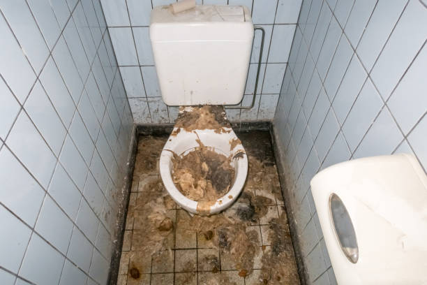 istock public toilet Clogged 1291170158