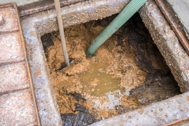 istock Clearing the cresspool with a gut and shovel 1291170163