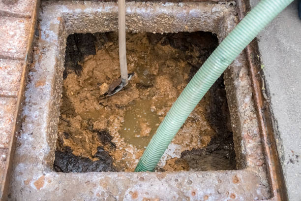 istock Clearing the cresspool with a gut and shovel 1291170167