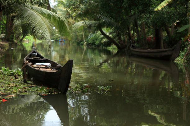 istock Beautiful backwater streams surrounded by coconut trees in Kerala, India. 1291171395
