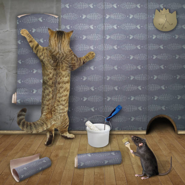 istock Cat doing apartmet repair 2 1291172149