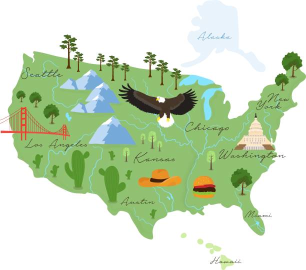 amerika hakkında turistik infographics. abd karikatür haritası. simgesel yapılar, binalar, gıda ve bitkiler ile seyahat illüstrasyon. ulusal semboller. ünlü konumlar. vektör çizimi - abd illüstrasyonlar stock illustrations