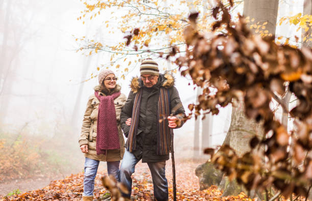 istock Senior couple exploring nature 1291172370
