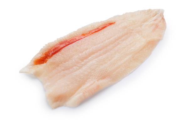 istock Fillet of Dover Sole on White 1291173688