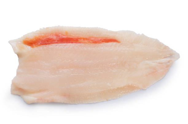 istock Fillet of Dover Sole on White 1291173699