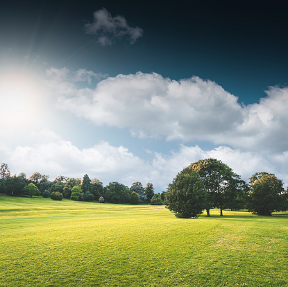 nature parkland in uk