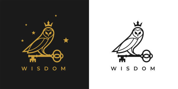 illustrations, cliparts, dessins animés et icônes de hibou avec la clé et l’icône de couronne - owl