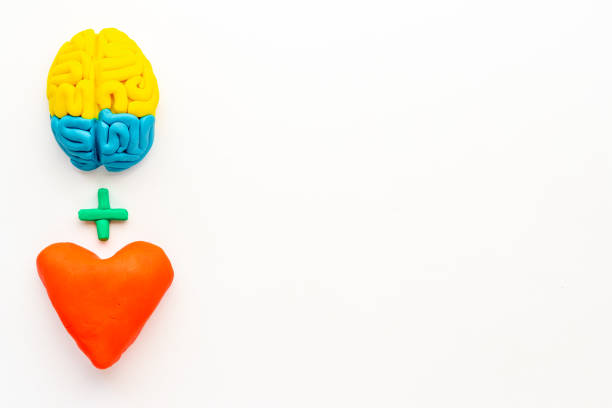 istock Emotional intelligence concept with brain and heart, top view 1291180511