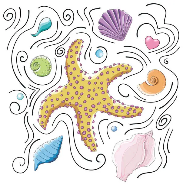 Vector illustration of Vector marine composition of yellow starfish, orange, pale pink, blue, green, purple seashells, sea water drops and black lines in cartoon doodle style