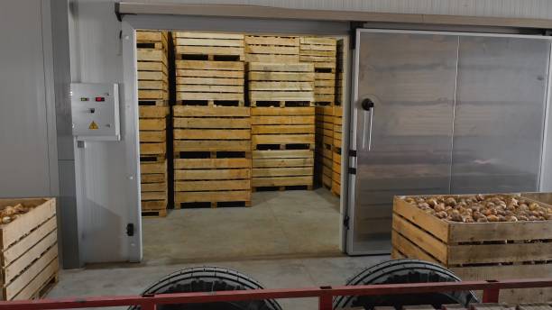 Refrigerated warehouse with automatic doors and crates with onions Refrigerated warehouse with automatic doors and crates with onions cold storage stock pictures, royalty-free photos & images