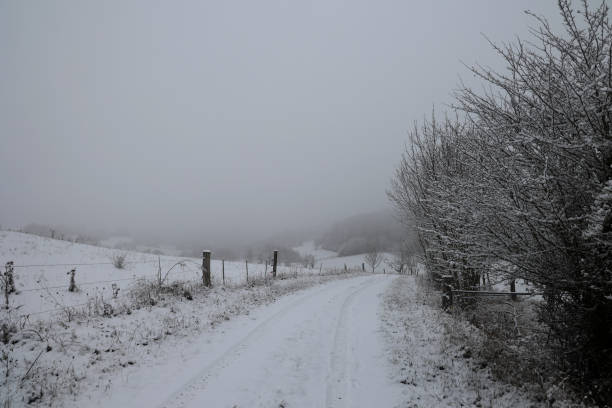 istock Winter landscape with trees covered in white snow 1291185277