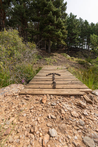 istock arrow made with pinecones on a wooden bridge 1291186470