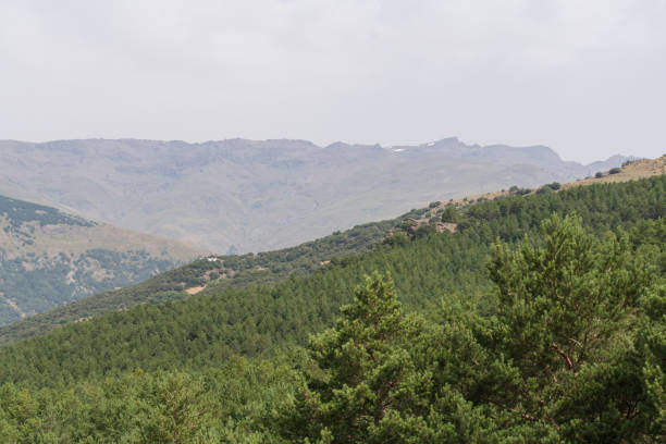 istock mountainous landscape in Sierra Nevada 1291189343