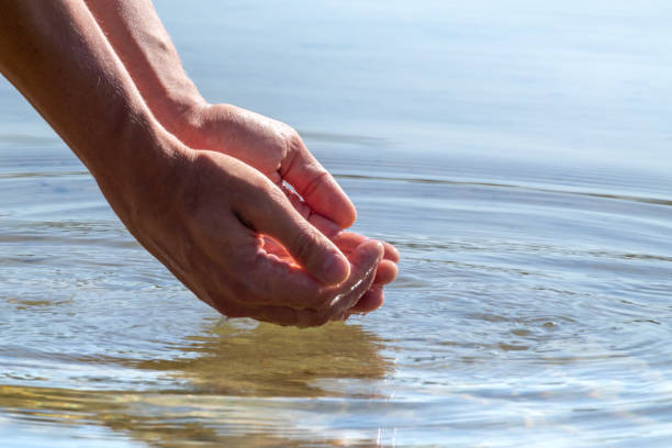 istock Close-up of hands cupping river water with reflection 1291194594
