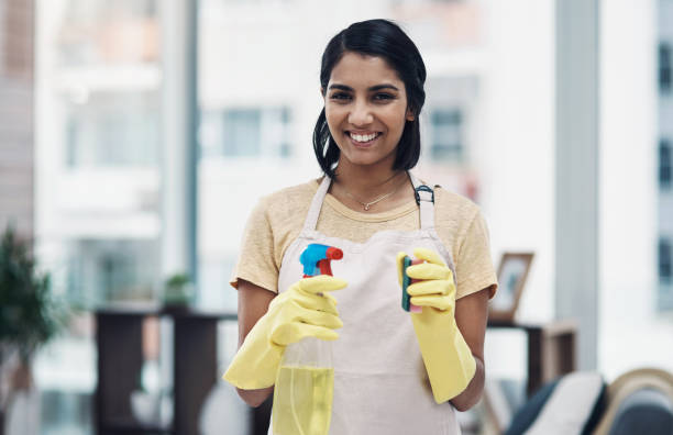 istock Just call me the queen of clean 1291195920